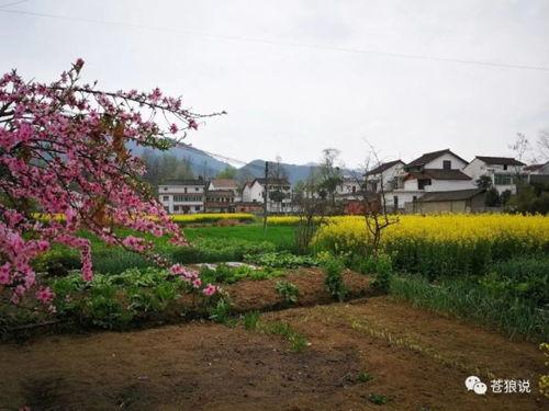 十里桃花汉中今日爆料,探寻古韵风情,揭秘神秘传说 第2张 十里桃花汉中今日爆料,探寻古韵风情,揭秘神秘传说 第2张
