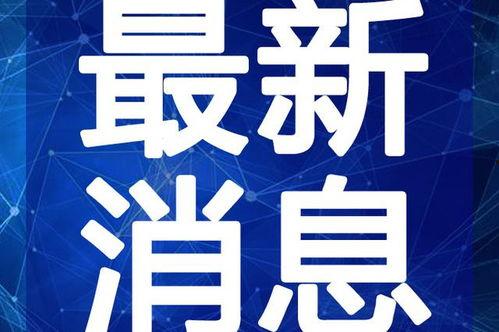 平湖最新爆料新闻视频大全,视频大全揭秘热点事件