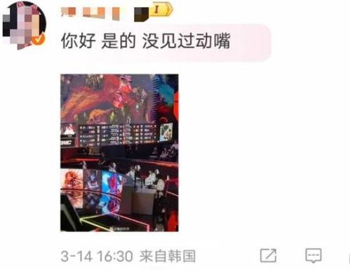 直播爆料冰岛事件视频在线观看,视频在线观看全程回顾 第3张 直播爆料冰岛事件视频在线观看,视频在线观看全程回顾 第3张