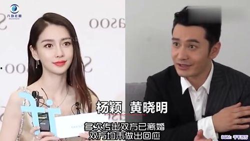 爆料某女星秘密离婚视频,真相背后引人深思 第3张 爆料某女星秘密离婚视频,真相背后引人深思 第3张