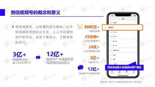 断桥网友爆料视频大全下载,揭秘网络热点背后的真相 第2张 断桥网友爆料视频大全下载,揭秘网络热点背后的真相 第2张