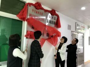 陆河新闻爆料事件,揭秘背后真相与争议 第3张 陆河新闻爆料事件,揭秘背后真相与争议 第3张