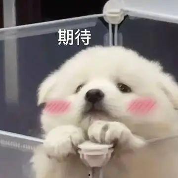 娱乐圈八卦吃瓜聊天记录,明星私生活大曝光 第2张 娱乐圈八卦吃瓜聊天记录,明星私生活大曝光 第2张