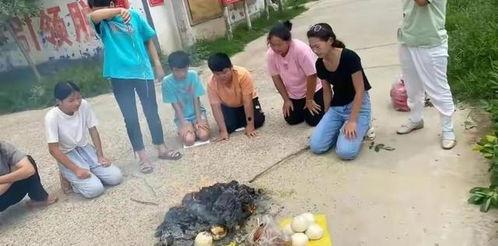 杞县叶婷爆料事件最新,揭开校园霸凌背后的真相  第2张