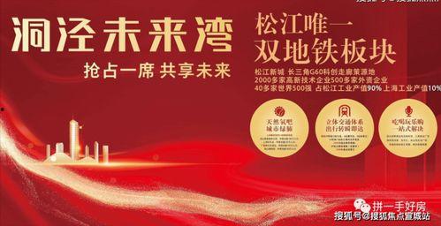 上海看看新闻爆料电话,揭露社会热点，倾听民声心声