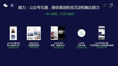 3.5卡池爆料视频,新角色与机制前瞻解析