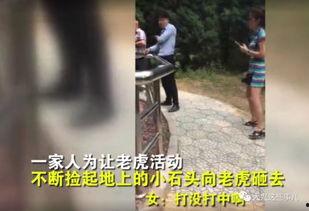网友爆料游人扔石头视频,文明旅游何去何从? 第3张 网友爆料游人扔石头视频,文明旅游何去何从? 第3张