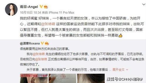 王四老婆被爆料视频播放,真相与争议