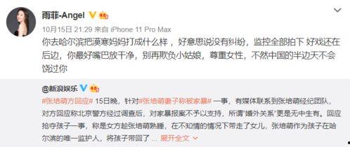 王四老婆被爆料视频播放,真相与争议 第2张 王四老婆被爆料视频播放,真相与争议 第2张