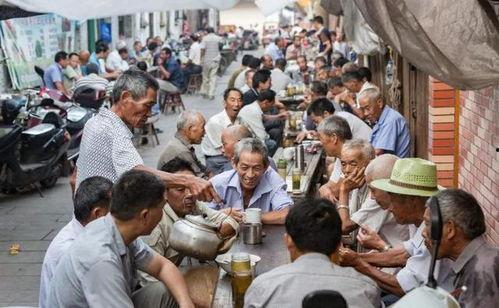 老汉爆料茶叶视频大全,茶叶视频大全揭秘茶叶世界 第3张 老汉爆料茶叶视频大全,茶叶视频大全揭秘茶叶世界 第3张