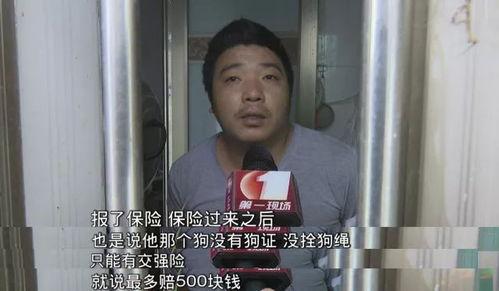 东莞黄女士爆料最新,揭秘某知名企业惊人内幕! 第2张 东莞黄女士爆料最新,揭秘某知名企业惊人内幕! 第2张