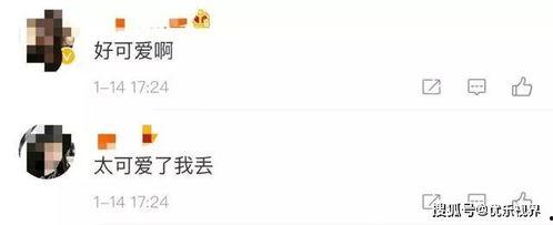 微信免费吃瓜的公众号,跟随微信公众号轻松解锁美食福利 第2张 微信免费吃瓜的公众号,跟随微信公众号轻松解锁美食福利 第2张