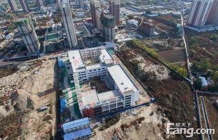 保定复兴路爆料案件最新,惊现惊人内幕，真相即将揭晓！  第2张
