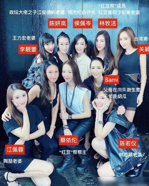 爆料各种名媛视频大全,视频大全背后的真相与争议  第3张