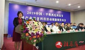 河南省平舆县新闻爆料,聚焦本土热点事件，解码民生动态  第2张