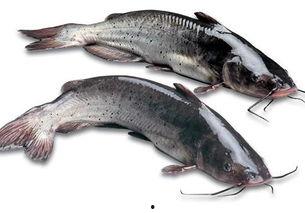 落汤鱼最新爆料图片大全,高清图片大揭秘 第2张 落汤鱼最新爆料图片大全,高清图片大揭秘 第2张