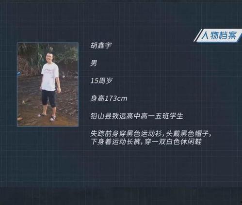 新闻爆料失踪案例视频播放,视频揭秘惊心动魄的寻人历程  第3张