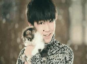 娱乐吃瓜蒋依依吴磊视频 第3张 娱乐吃瓜蒋依依吴磊视频 第3张