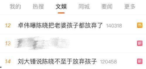 卓伟爆料陈晓视频在线,真相与争议交织  第2张