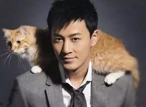 林峰近期爆料新闻报道,揭秘娱乐圈背后的真实故事  第3张 林峰近期爆料新闻报道,揭秘娱乐圈背后的真实故事  第3张