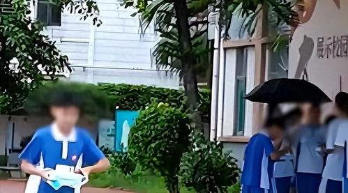 网友爆料金碧学校视频,揭秘校园真实情况  第1张 网友爆料金碧学校视频,揭秘校园真实情况  第1张