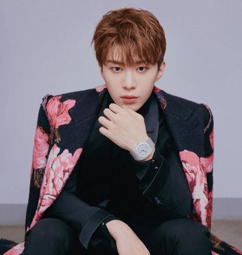 范丞丞白鹿圈内人爆料,圈内人揭秘甜蜜幕后