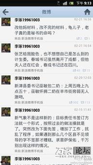 桃园日记最新爆料微博,揭秘娱乐圈惊人内幕  第3张