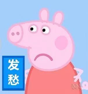 野猪佩奇爆料视频大全集,爆笑童年回忆，全集亮点大盘点