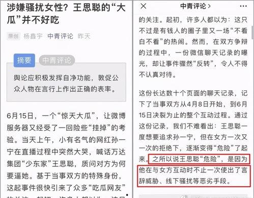 王思聪史诗爆料视频,一场史诗级爆料背后的真实故事  第1张