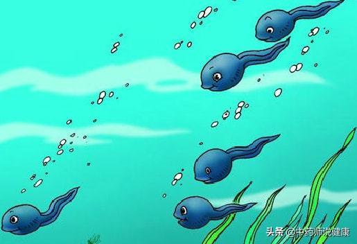 蝌蚪免费视频在线观看,蝌蚪免费视频，畅享无限学习之旅  第1张