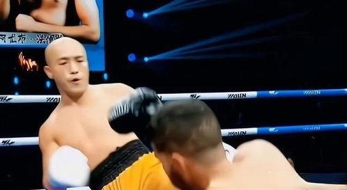一龙深夜爆料视频,揭秘武术界不为人知的真相  第3张