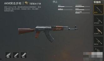 吃鸡最新突击步枪枪爆料,性能卓越，引领战场新潮流