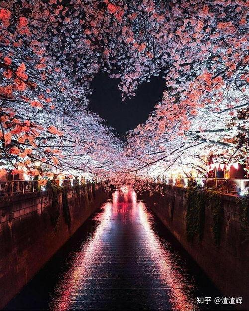 风景最新爆料文案图片大全,风景最新爆料图片集锦 第3张 风景最新爆料文案图片大全,风景最新爆料图片集锦 第3张