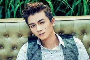 圈内爆料鹿晗胡歌,揭秘娱乐圈的神秘邂逅与传奇故事 第3张 圈内爆料鹿晗胡歌,揭秘娱乐圈的神秘邂逅与传奇故事 第3张