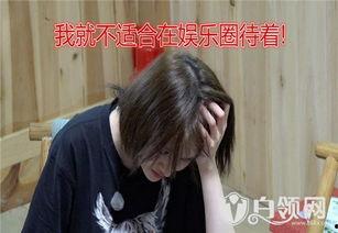 明星娱乐圈热点爆料视频,明星热点事件深度剖析  第3张