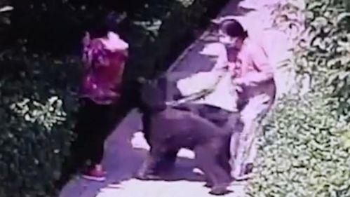 女子爆料淄博事件视频曝光,真相与争议交织  第2张