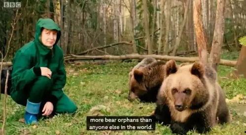 熊崽在线观看,萌宠成长记  第2张