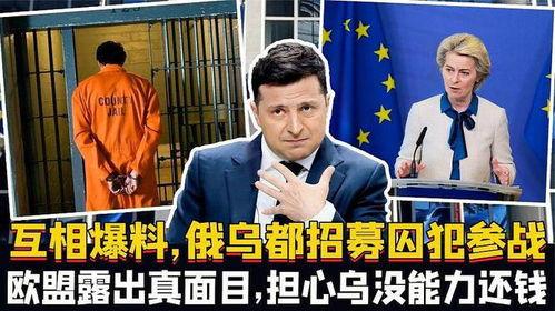 欧盟互相爆料视频,成员国间互爆视频曝光惊人内幕  第2张