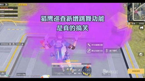 猎鹰巡查最新爆料信息,独家爆料揭示惊天秘密 第3张 猎鹰巡查最新爆料信息,独家爆料揭示惊天秘密 第3张