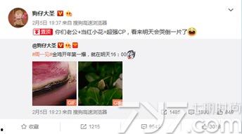 狗仔大圣最新爆料 第3张 狗仔大圣最新爆料 第3张