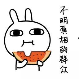 娱乐吃瓜酱短暂的高薪,揭秘短暂辉煌背后的故事